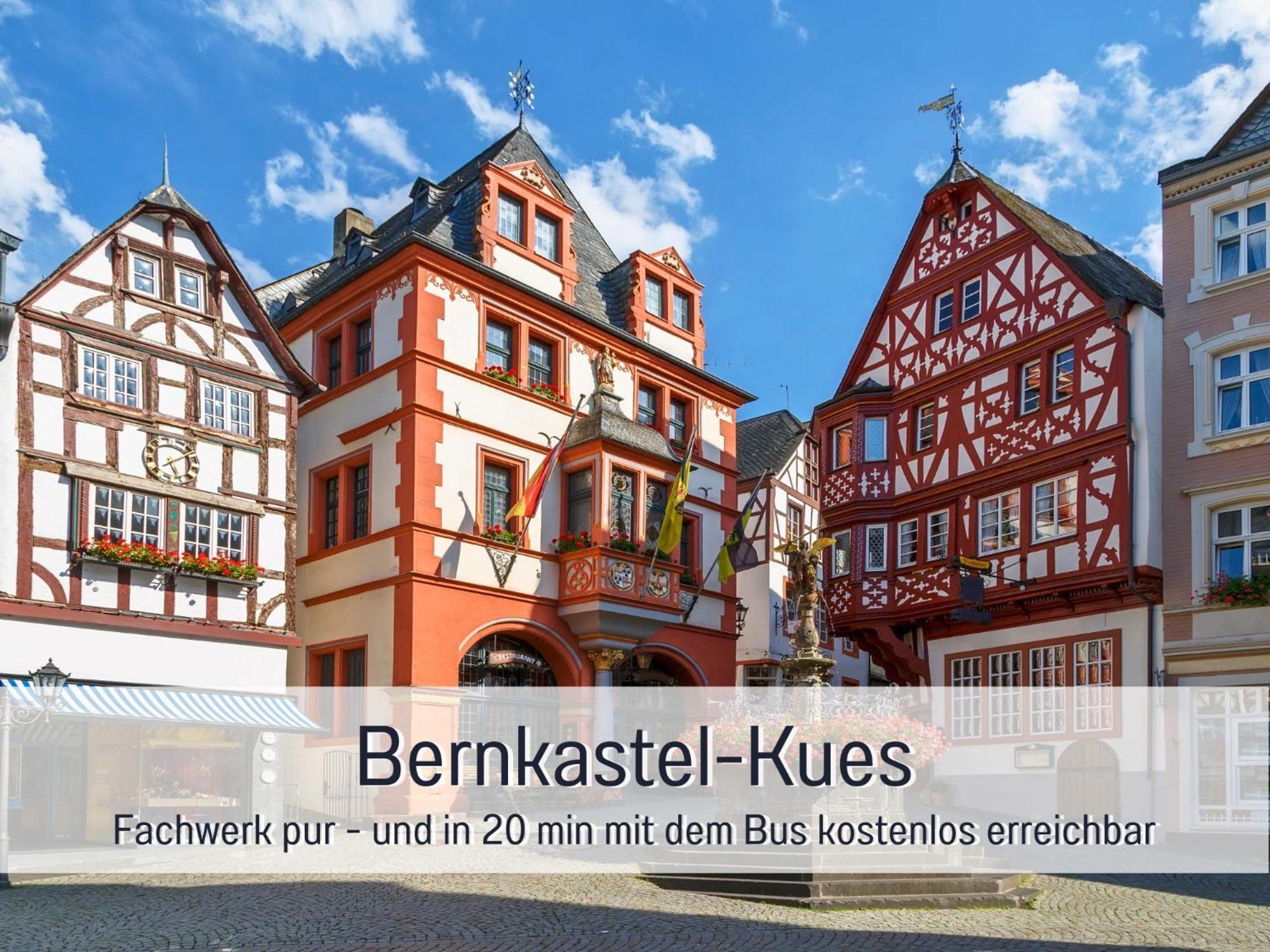 Ferienhaus Schwaab-Scherr, Genau Zwischen Bernkastel-Kues Und Traben-Trarbach, Mit Kostenlosem Oepnv-Ticket Fuer Bus Und Bahn, Parkplaetzen Und Fahrradgarage Erden Exterior photo