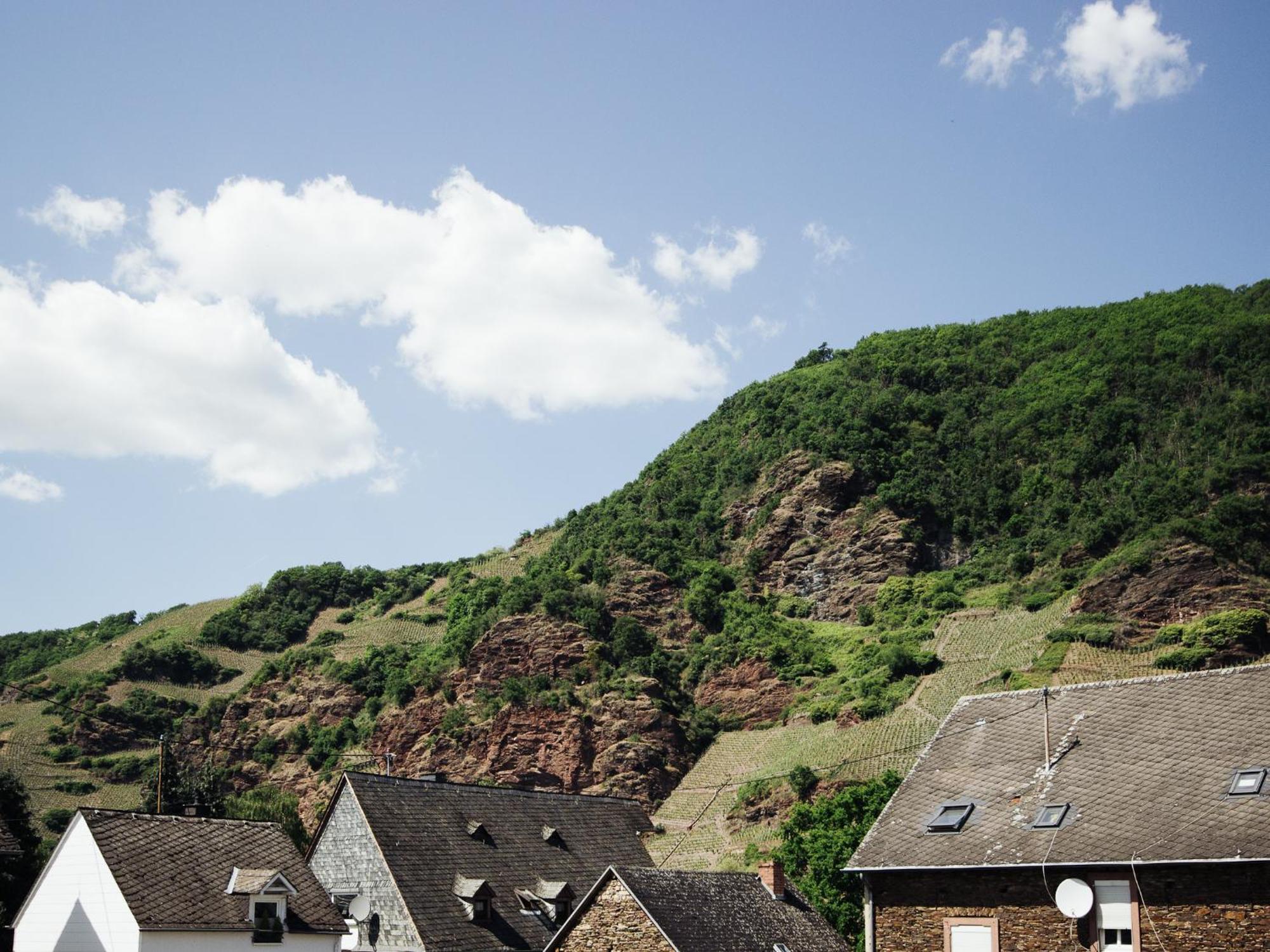 Ferienhaus Schwaab-Scherr, Genau Zwischen Bernkastel-Kues Und Traben-Trarbach, Mit Kostenlosem Oepnv-Ticket Fuer Bus Und Bahn, Parkplaetzen Und Fahrradgarage Erden Exterior photo
